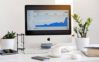 aoa体育教练-秀出身手，运动员尽显实力展现搏击精神