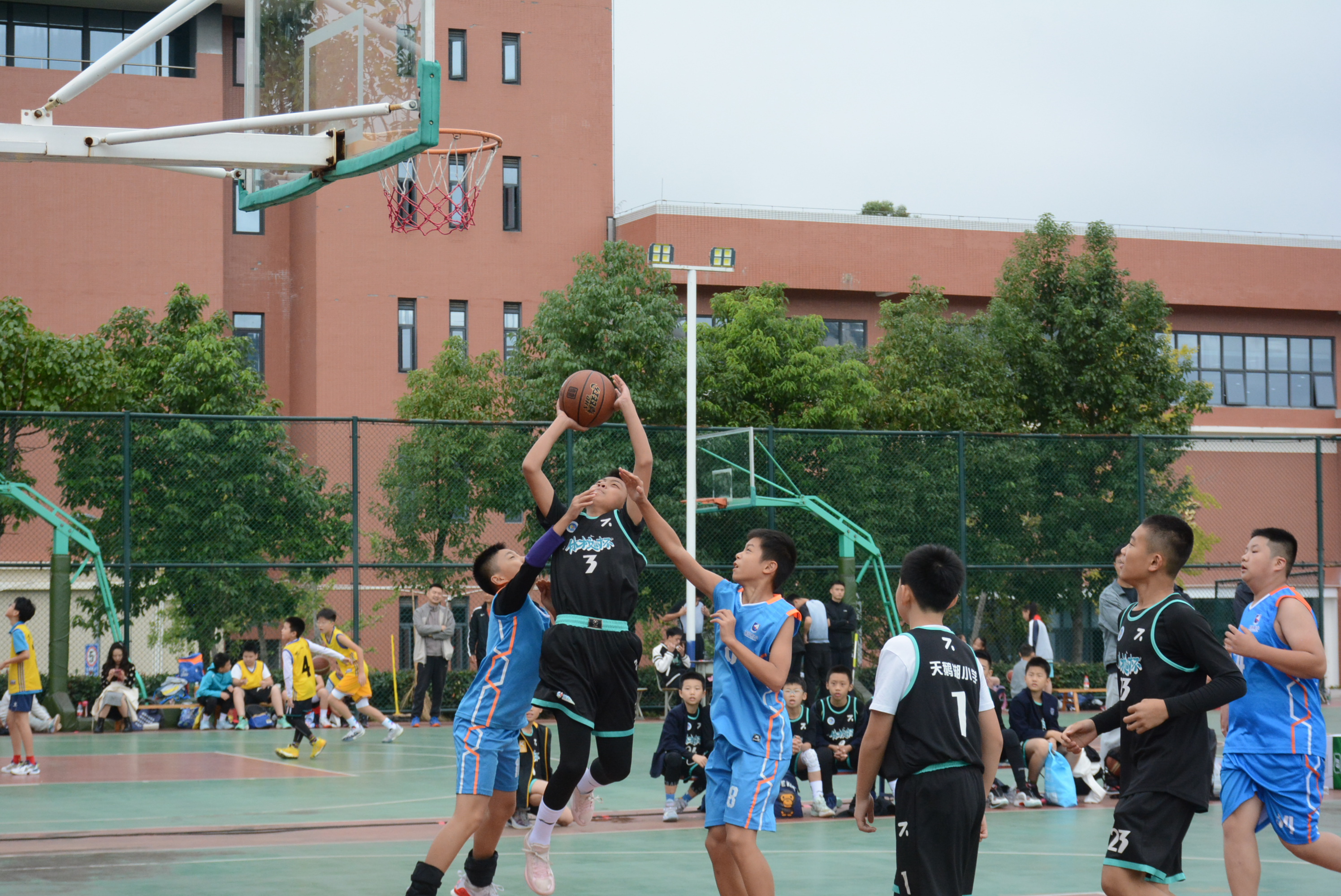 越来越多的人将篮球比赛作为生活的乐趣
